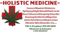 Holistic Medicine image 1